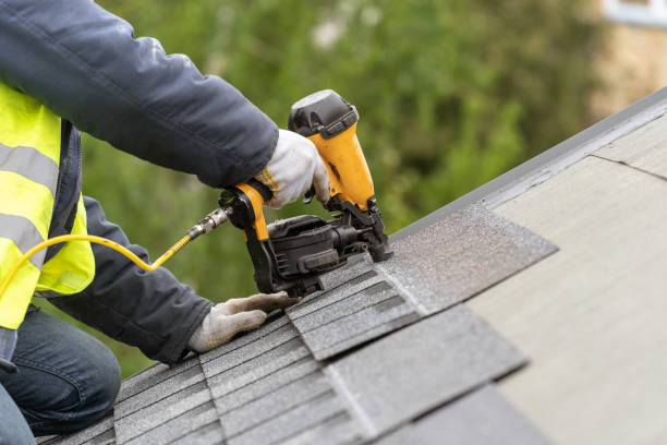 Best Metal Roofing Installation  in Meridian Village, CO