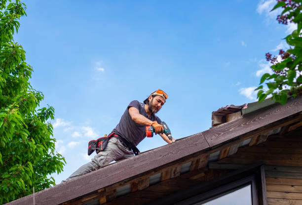 Best Storm Damage Roof Repair  in Meridian Village, CO