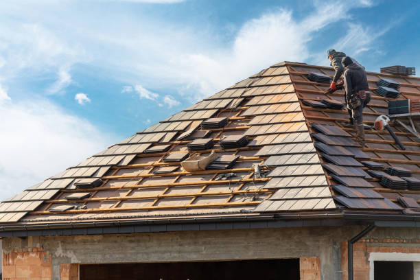 Best Skylight Installation and Repair  in Meridian Village, CO